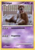chat fatigµé