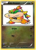 Baby Bowser