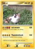 cat