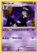 Blair the cat
