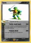 Turtle