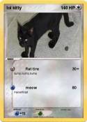 lol kitty
