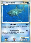 requin blanc