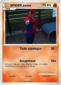 SPIDER junior