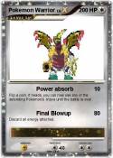 Pokemon Warrior
