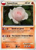 Poland Rose