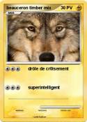 beauceron