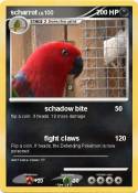 scharrot