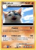 Cute cat
