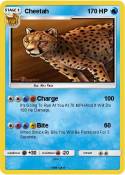 Cheetah
