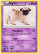 Pug EX