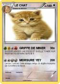 LE CHAT