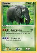 Elefante