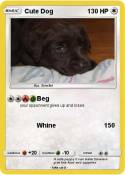 Cute Dog