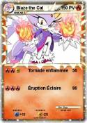 Blaze the Cat