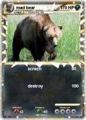 mad bear