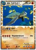 SEA TURTLE X