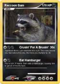 Raccoon Sam