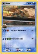 Torterra