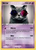 Mr.Cat