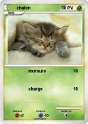 chaton