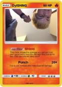 DylSHING