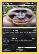 monkey