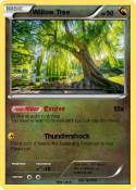 Willow Tree