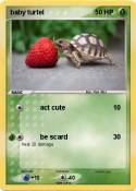 baby turtel
