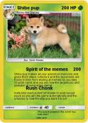 Shibe pup