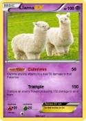 Llama