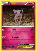 Pig