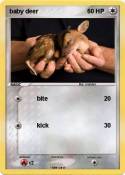baby deer