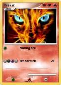 fire cat
