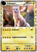 Pokemon !
