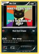Biz Cat