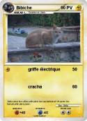 Bibiche