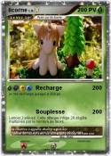 licorne