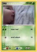 twig