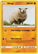 Sheep