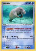 manatee
