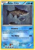 Asian Carp
