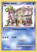 clumber spaneil