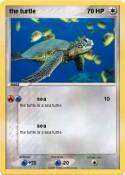 the turtle