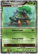 Torterra