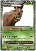 PokePaard