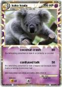 koko koala