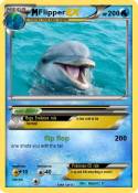 Flipper