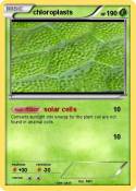 chloroplasts