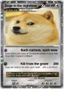 Doge in the